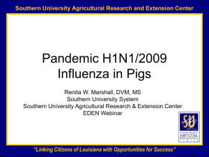 Current Swine Issues with H1N1