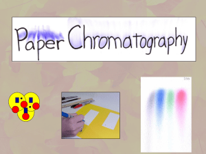Paper Chromatography of a Spinach Leaf Lab