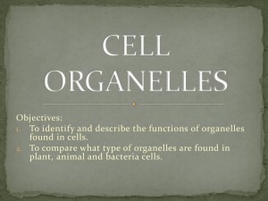 CELL ORGANELLES