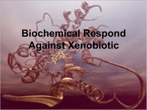 Biochemical Respond Against Xenobiotic