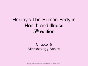 Chap 5 PPT Microbiology Basics