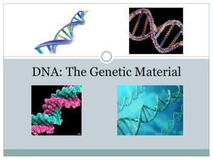 DNA is a Double Helix