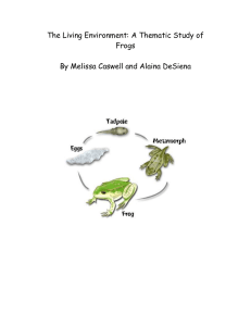 The Living Environment: A Thematic Study of Frogs
