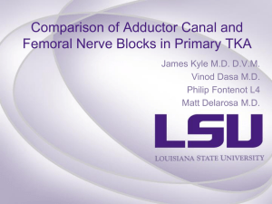 Comparison of Adductor Canal and Femoral Nerve Blocks in