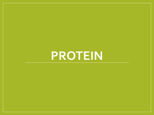 Protein - mrssirois
