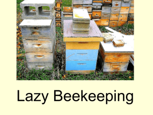 Lazy Beekeeping