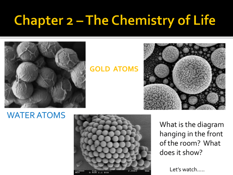 Chapter 2 Chemistry Of Life