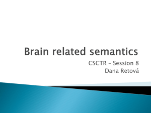 Brain related semantics