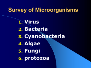 Survey of Microorganisms-text