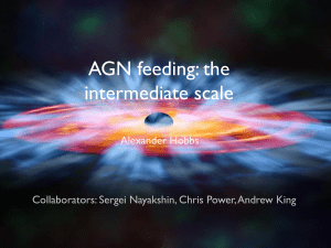 AGN feeding: the intermediate scale