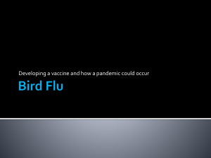 Bird Flu - EUR