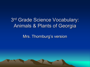 3rd Grade Science Vocabulary: Habitats Unit