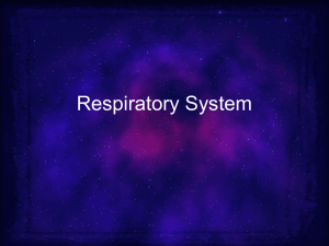 Disorders of the Respiratory System