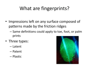 What are fingerprints?