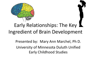 The Key Ingredient of Brain Development