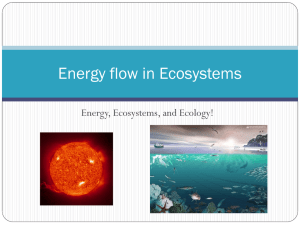Energy flow in Ecosystems