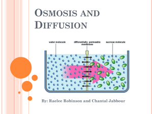 Osmosis and Diffusion - MMakris-Grade7