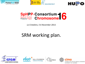 SRM working plan.