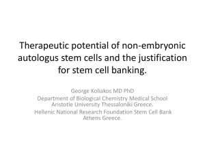 Stem Cell - stem art