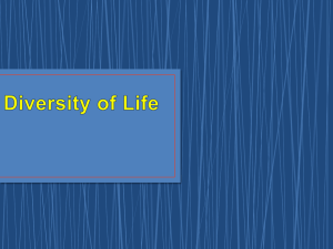 Origin of Life PPT - Ms. Cole's Science Center
