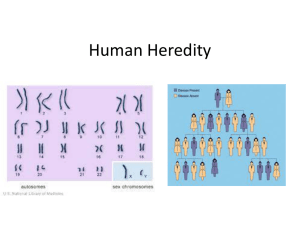 Human Heredity - Ms. Zhong's Classes