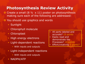 Chapter 8 Photosynthesis and Respiration
