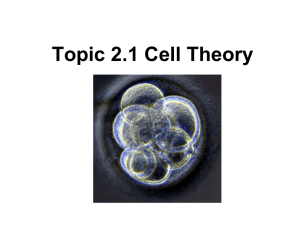 Cell th - mrsgreenbiology