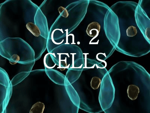 Cells - Parrott