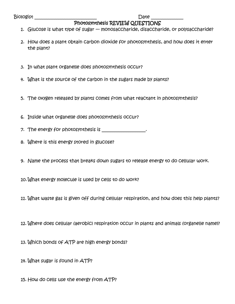 Photosynthesis Review Questions