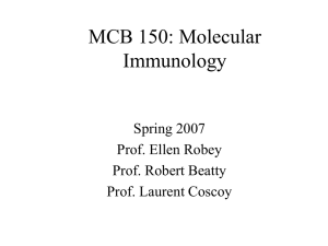 PowerPoint Presentation - MCB 150: Molecular Immunology