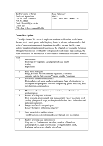 seed pathology outline