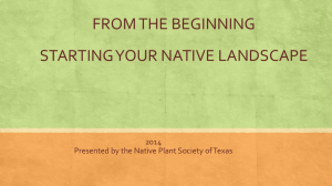 From the Beginning - Native Plant Society of Texas