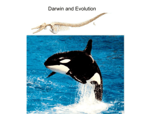 Chapter 17 --Darwin and Evolution