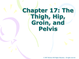 Chapter 17 - Hip and Leg