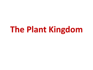 The Plant Kingdom - Home - KSU Faculty Member websites