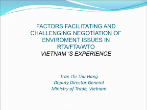 vietnam 's experience