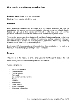 3 Month Probationary Period Review Template