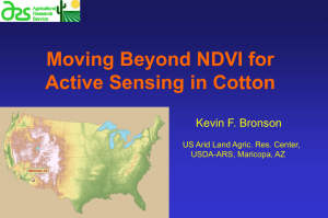 Moving Beyond NDVI for Active Sensing in Cotton