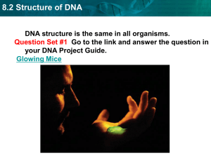 DNA Structure–PROJECT FORM - School District of La Crosse