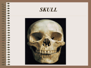 SKULL