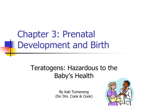 Chapter 3: Prenatal Development and Birth