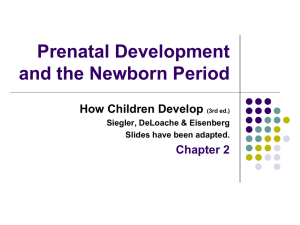 Siegler Chapter 2: Prenatal Development and the Newborn Period