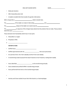 dna unit guided notes for dna presentation