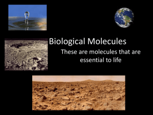 Biological Molecules - VCE