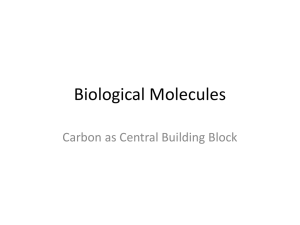 Biological Molecules