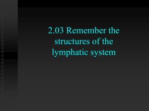 Structures of the Lymphatic System