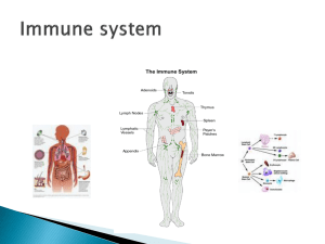 Chapter 6 Immune system
