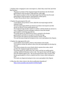 Key 10-6 worksheet
