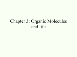 Chapter 3: Organic Molecules and life