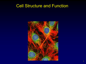 Cell Structures and Function